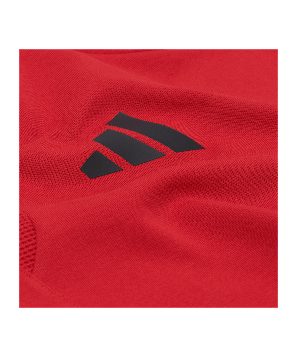 adidas Fortuna Düsseldorf Presentatie Sweatshirt Rood - rood