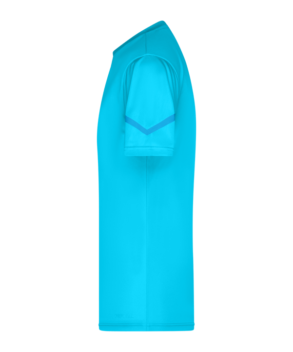 PUMA teamFLASH Trikot Blau F02 - blau