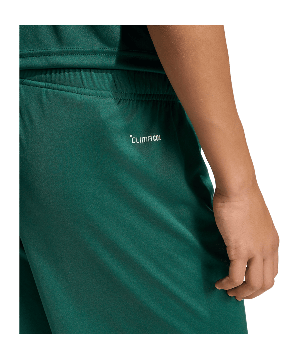 adidas Entrada 26 Short Kids Grün - gruen