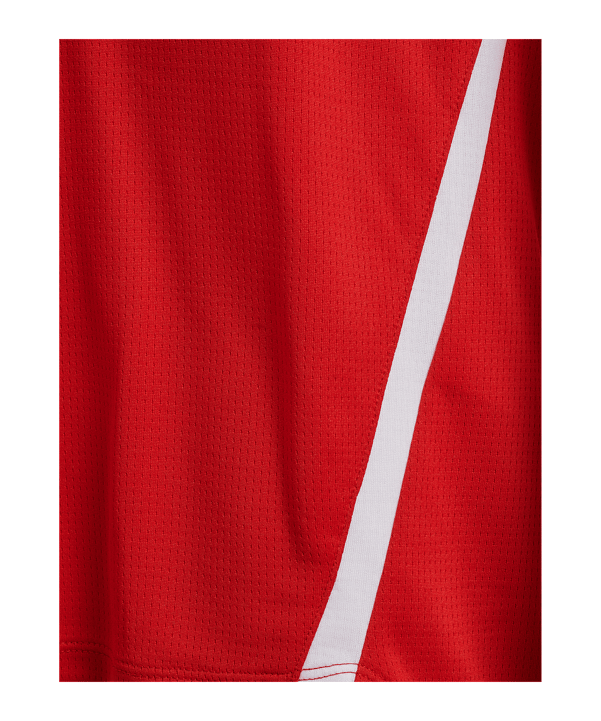 Hummel hmlLEAD 2.0 Trikot Rot F3713 - rot