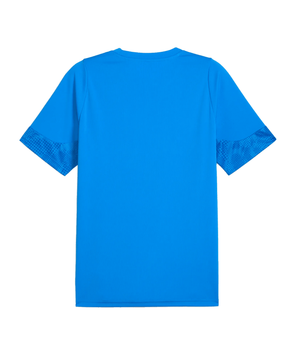 PUMA teamCUP Trikot Blau F002 - blau