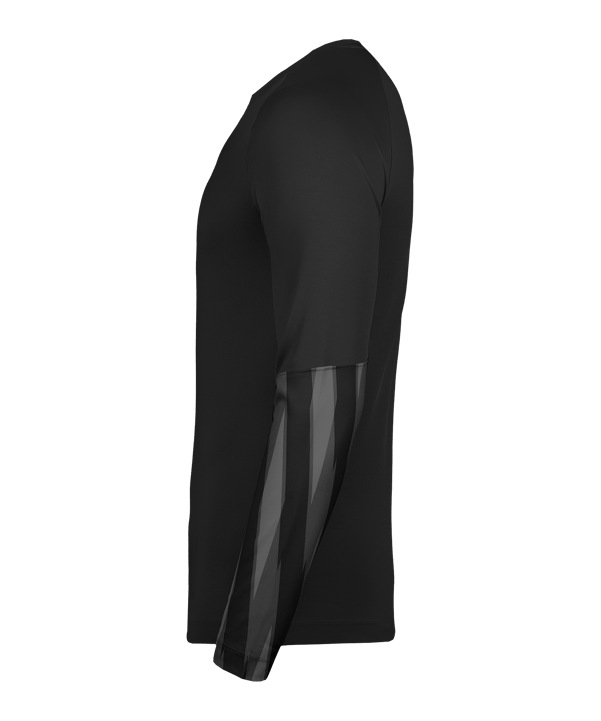 Nike Park V Trikot langarm Schwarz F010 - schwarz