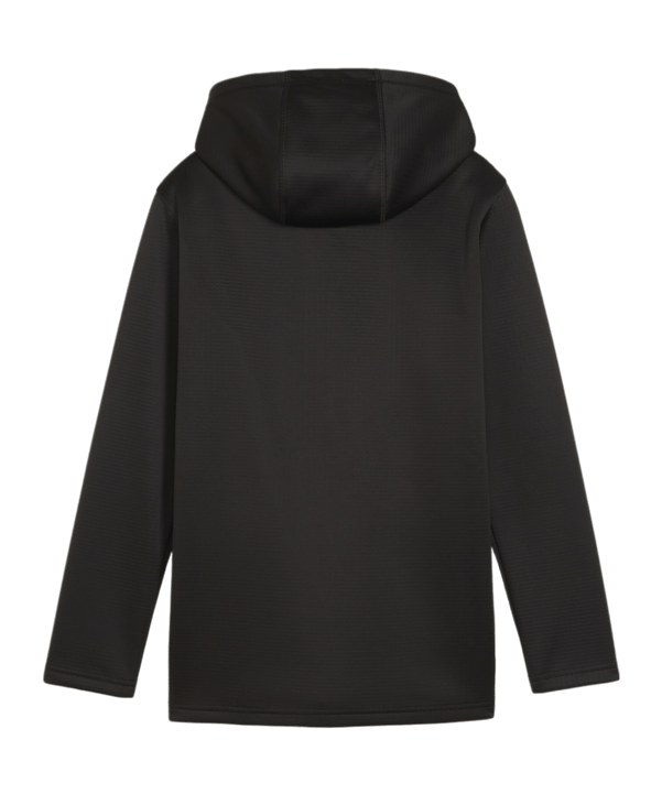 PUMA teamFINAL Trainingsjacke Kids Schwarz Silber F03 - schwarz