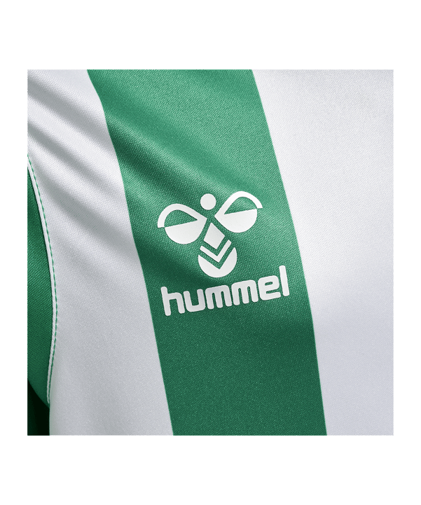 Hummel hmlCore XK Striped Trikot Kids Grün F6129 - gruen