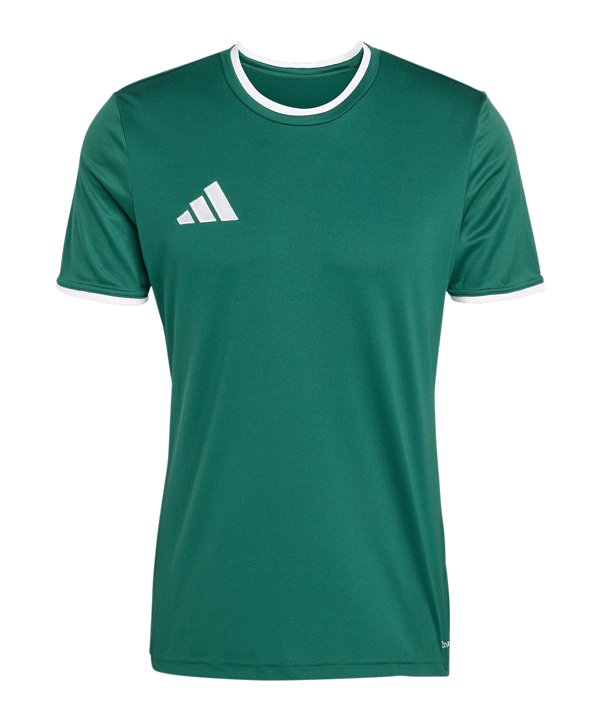 adidas Entrada 26 Trikot Grün - gruen