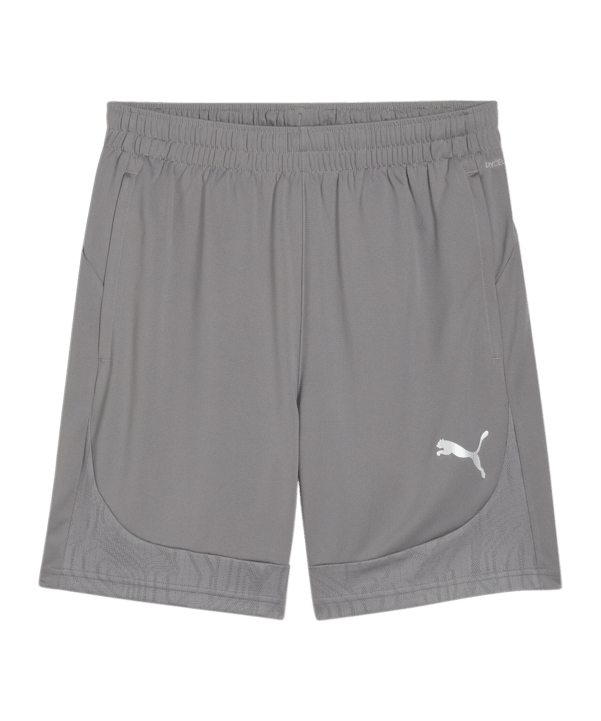PUMA teamFINAL Trainingsshorts Grau F13 - grau