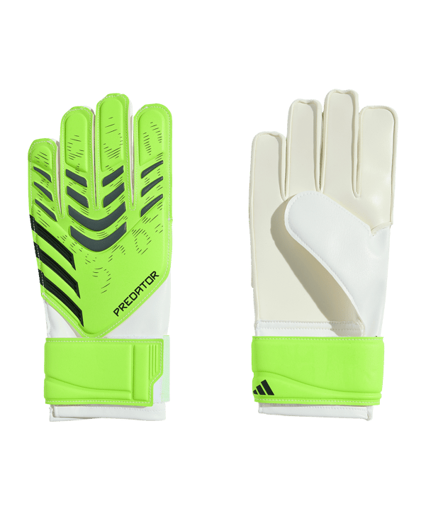 adidas Predator Glove Training Torwarthandschuhe Kids Grün