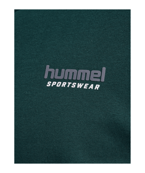 Hummel Loose Sportswear Hoody Grün F6565 - gruen