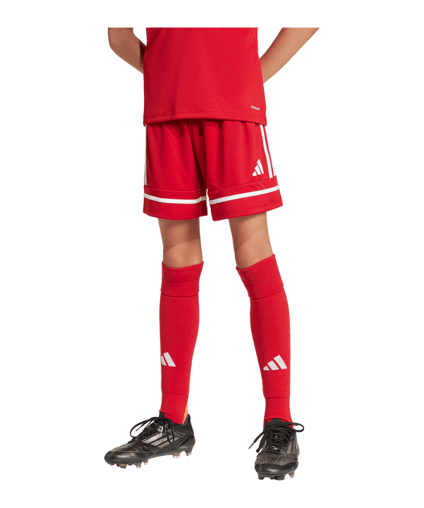 adidas Squadra 25 Short Kids Rot - rot