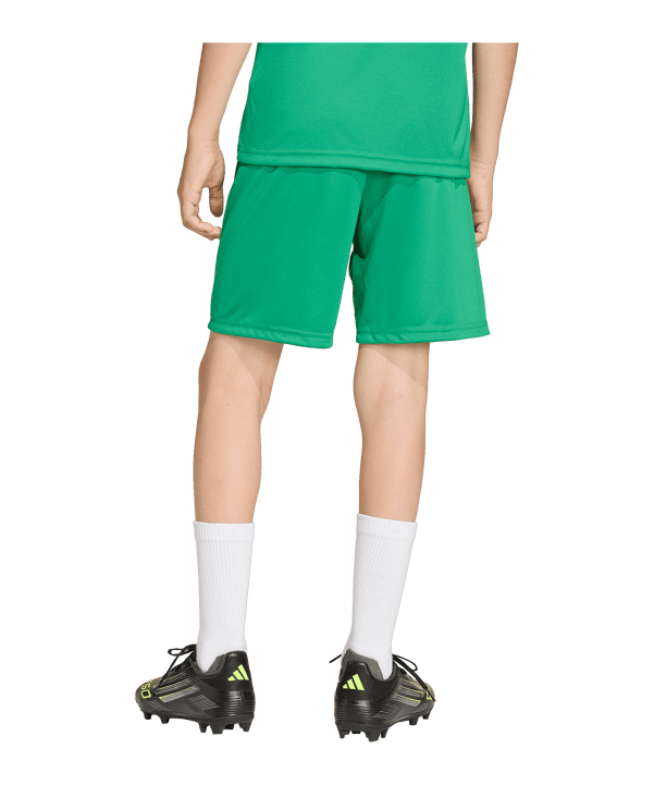 adidas Entrada 26 Short Kids Grün - gruen