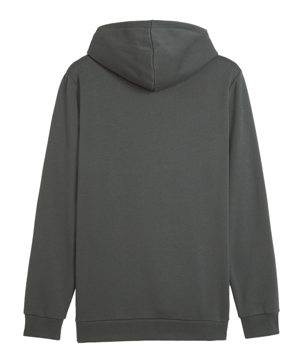 PUMA Essentials Big Logo Hoody Grau F069 - grau