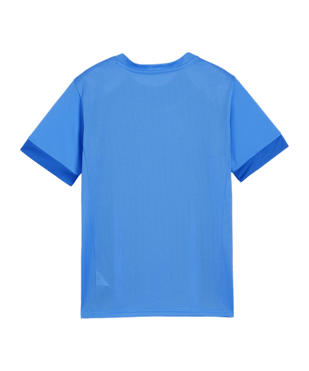 PUMA teamGOAL Matchday Trikot Kids Blau Weiss F02 - blau