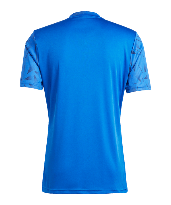 adidas Team Icon 25 Trikot Hellblau - blau