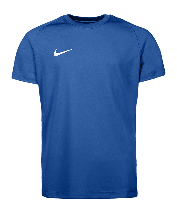 Nike Park VIII Trikot Kids Blau F463 - blau