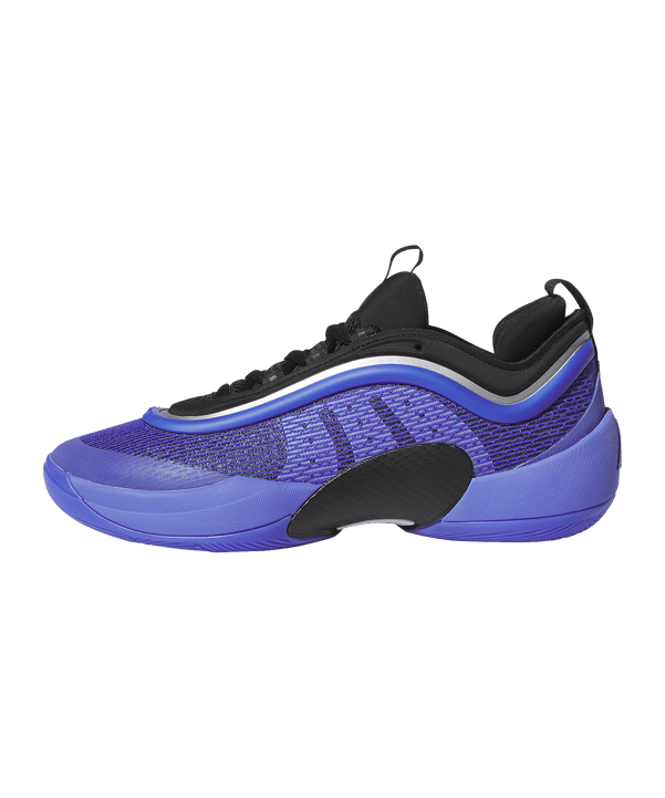 adidas D.O.N. Issue 6 Schuh Blau - blau