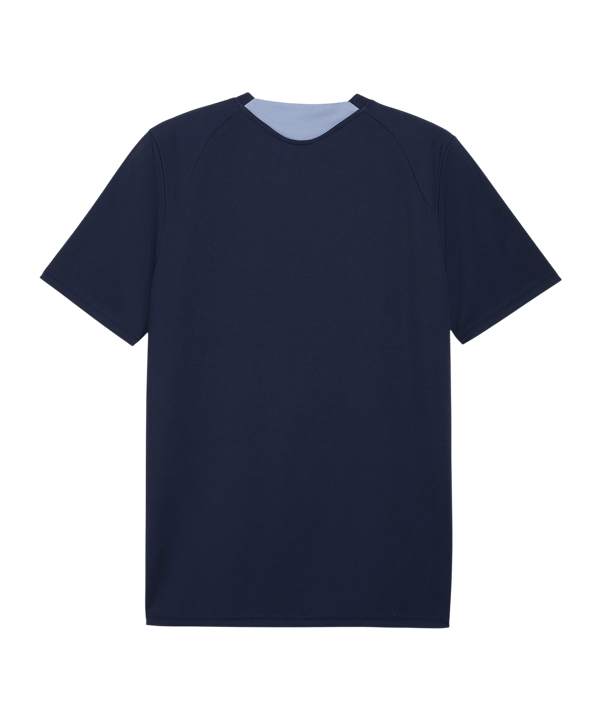 PUMA ÖFB Österreich Trainingsshirt Lila F08 - lila