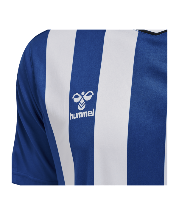 Hummel hmlCORE XK Striped Trikot Blau Weiss F7691 - blau