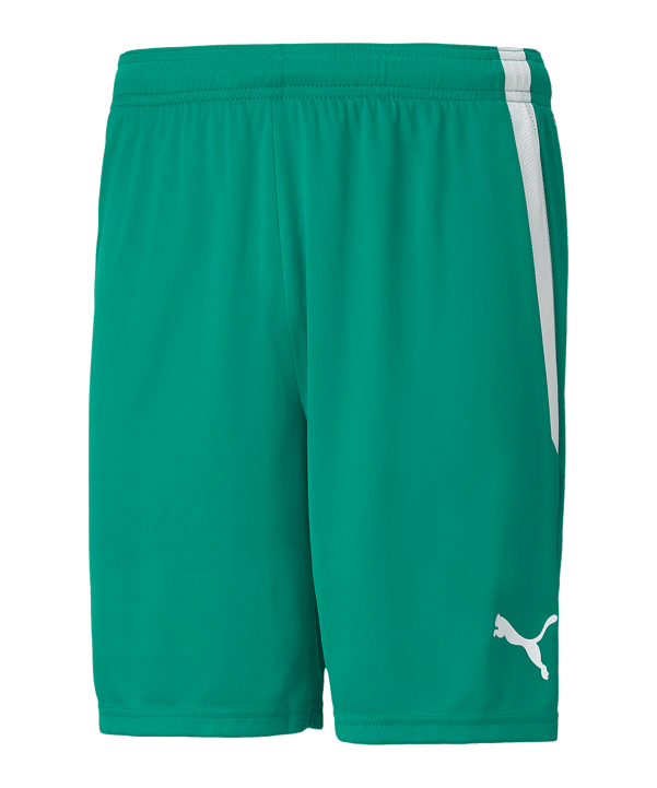 PUMA teamLIGA Short Grün Weiss F05 - gruen