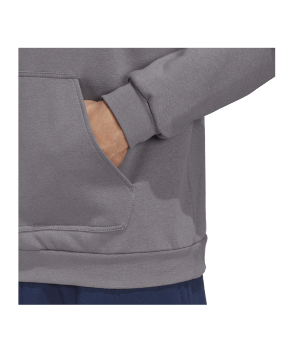 adidas Entrada 22 Hoody Grau - grau