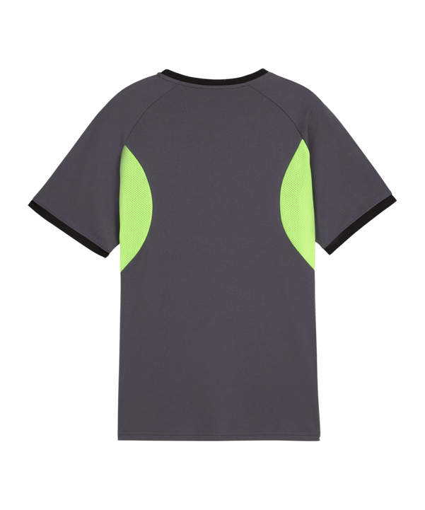 PUMA Trikot Kids Grau F08 - grau