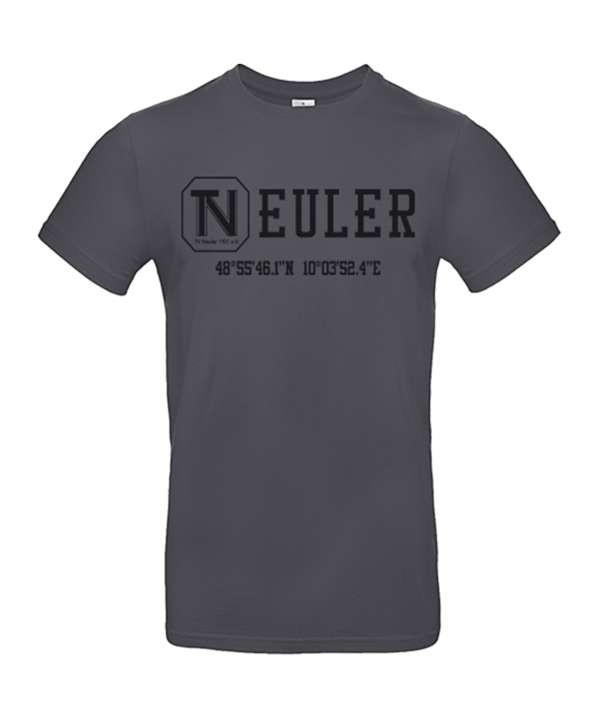 TV NEULER T-Shirt Crest (DGY) - grau