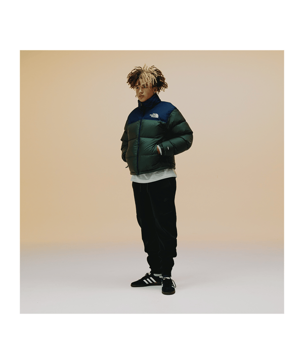 The North Face 1996 Retro Jacke Grün - gruen