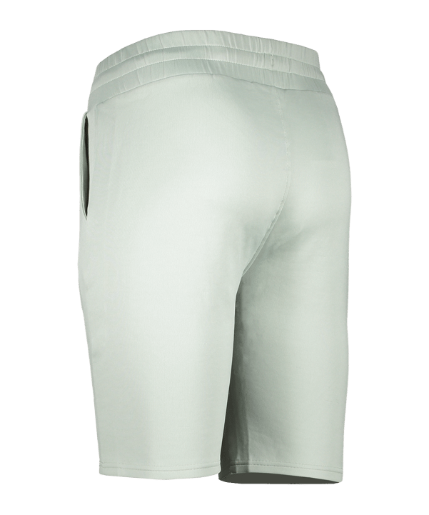 FILA CLEMSON Regular Short Grün F60002 - gruen