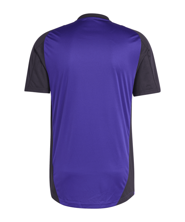 adidas DFB Deutschland Trainingsshirt EM 2024 Lila - lila