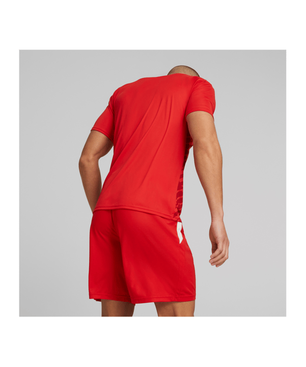 PUMA teamULTIMATE Trikot Rot F01 - rot