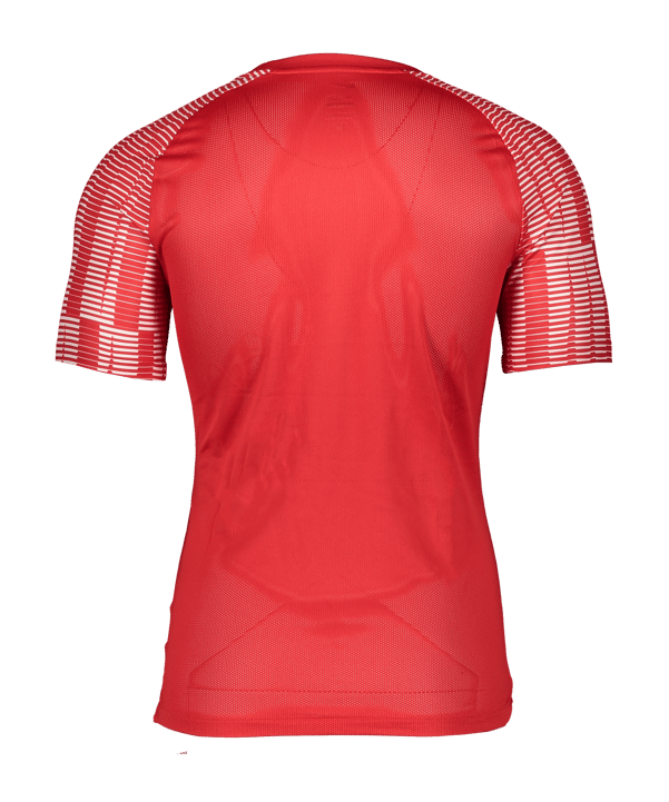 Nike Academy Trikot Kids Rot Weiss F657 - rot