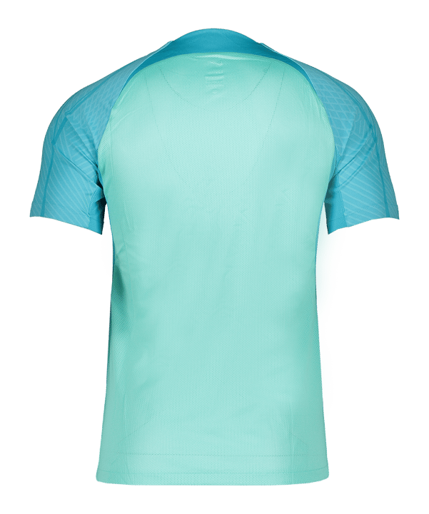 Nike Strike III Trikot Grün F354 - gruen