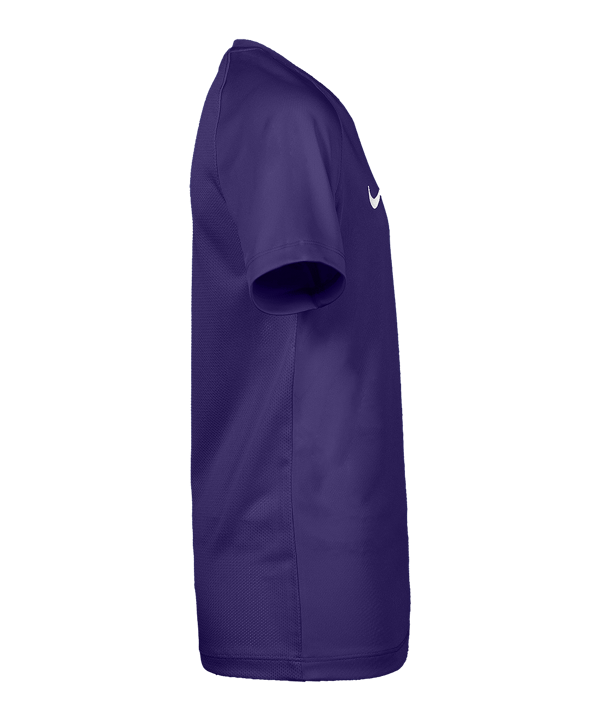 Nike Park VIII Trikot Kids Lila F547 - lila