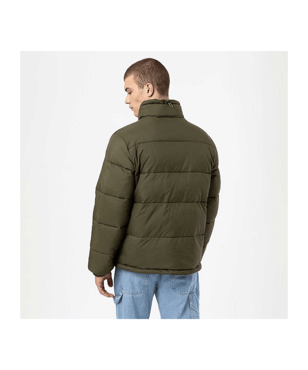 Dickie Waldenburg Puffer Jacke Grün - gruen