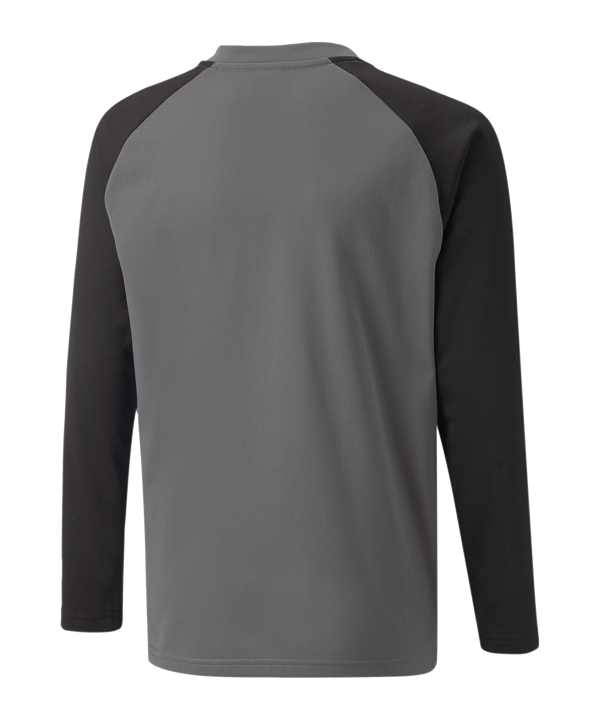 PUMA teamLIGA Sweatshirt Kids Grau F13 - grau