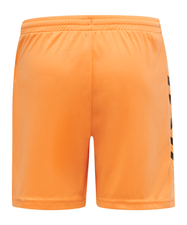 Hummel Core GK Torwarttrikotset Orange F5006 - orange