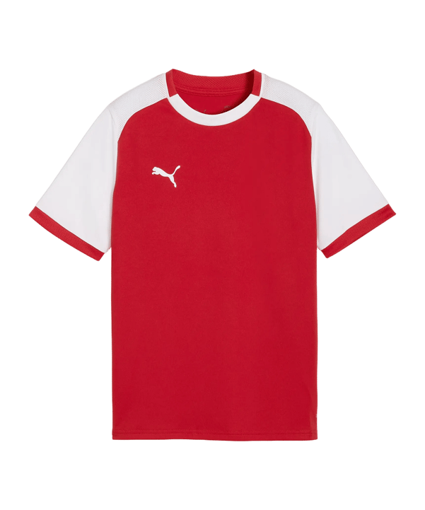 PUMA teamLIGA26 Matchday Trikot Kids Rot F01 - rot