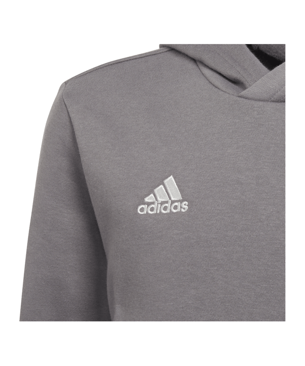 adidas Entrada 22 Hoody Kids Grau - grau