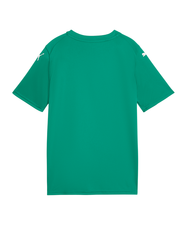 PUMA teamFINAL Graphic Trikot Kids Grün F05 - gruen
