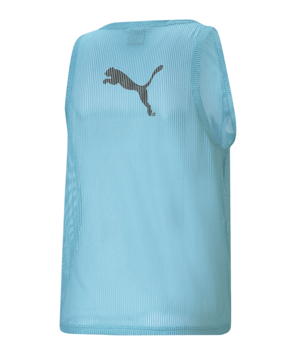 PUMA Markierungshemd Blau F41 - blau