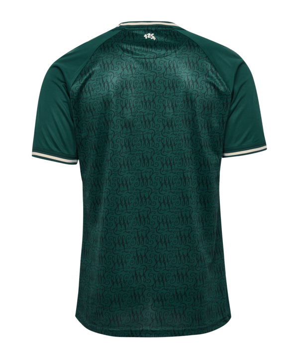 Hummel SV Werder Bremen Trikot 125 Jahre 2023/2024 Grün F5069 - gruen