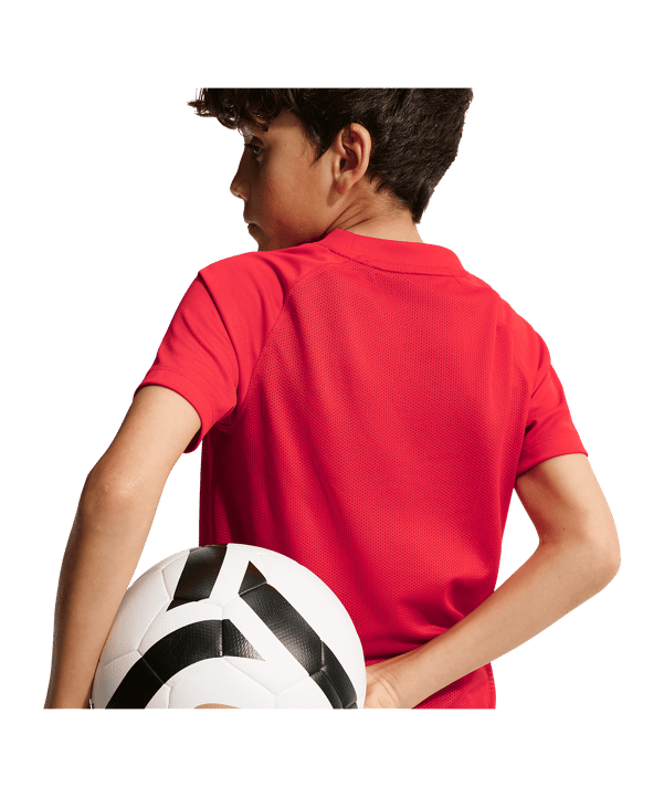 Nike Park VIII Trikot Kids Rot F657 - rot