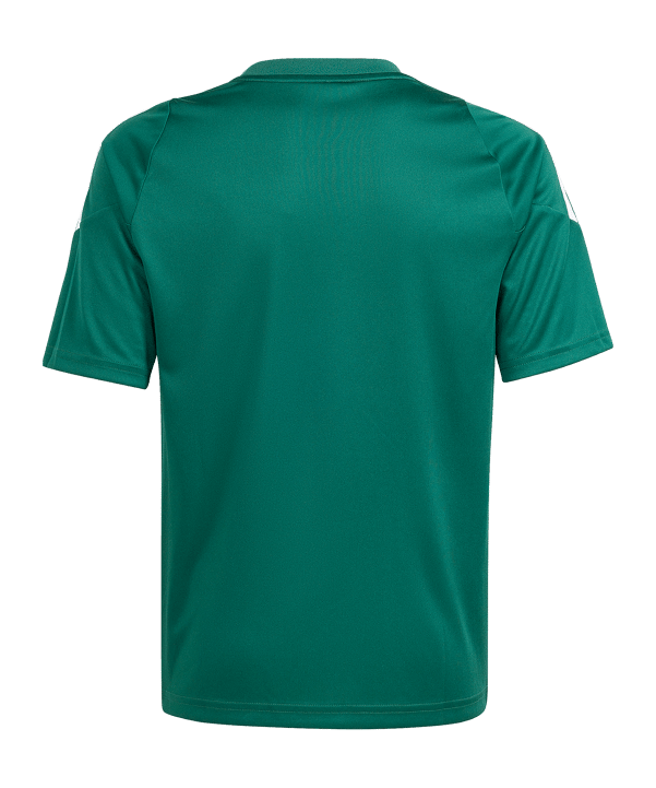 adidas Tiro 24 Trikot Kids Grün Weiss - gruen