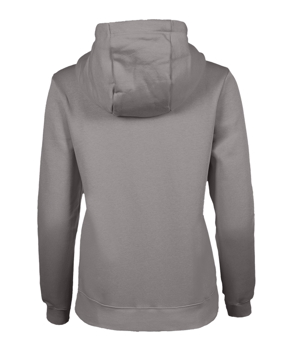 Nike Park 26 Hoody Damen Grau F063 - grau