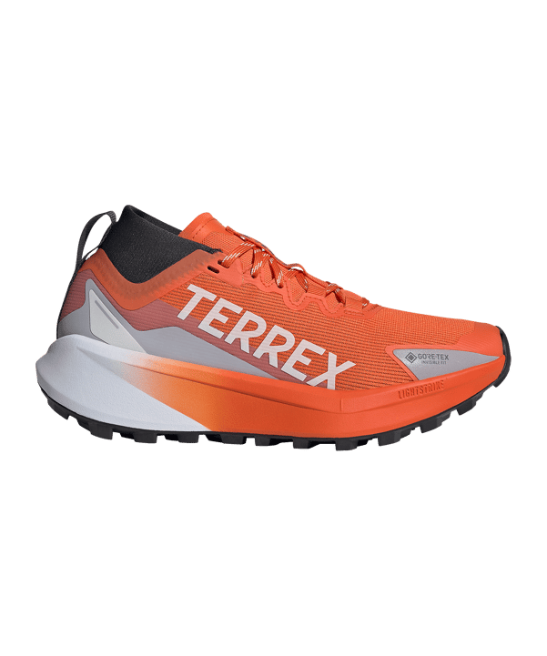 adidas Dames Terrex Agravic GTX Loopschoen Wit - wit
