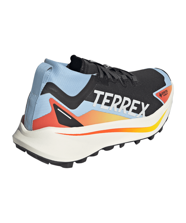 adidas TERREX Damen Agravic GTX Laufschuh Schwarz - noir