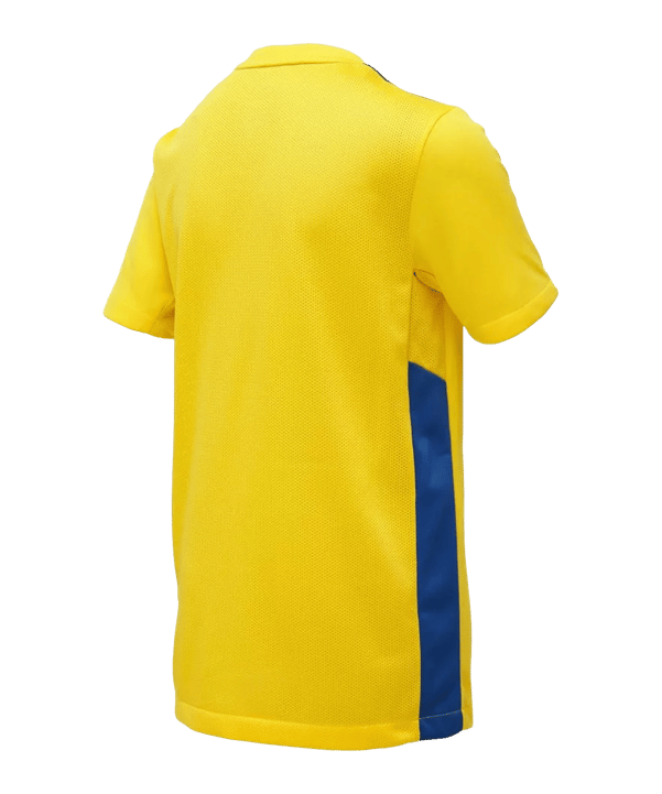 Nike Park Derby IV Trikot Kids Gelb Blau F720 - gelb
