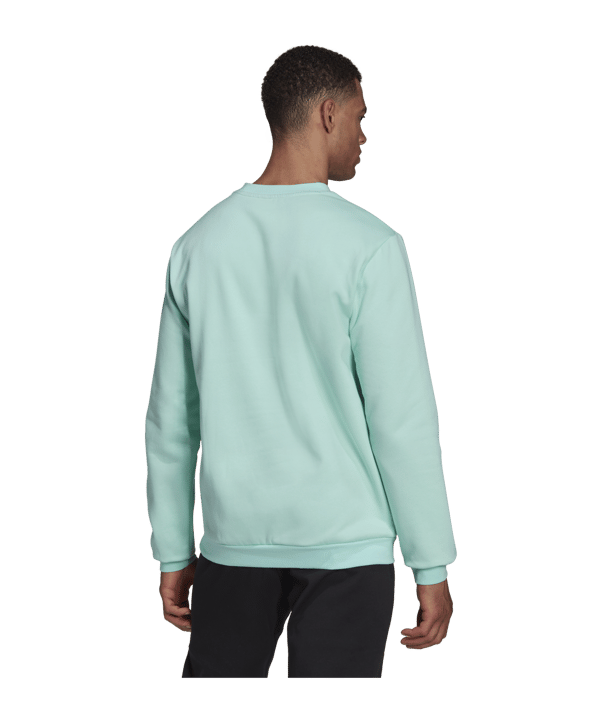adidas Entrada 22 Sweatshirt Türkis - tuerkis