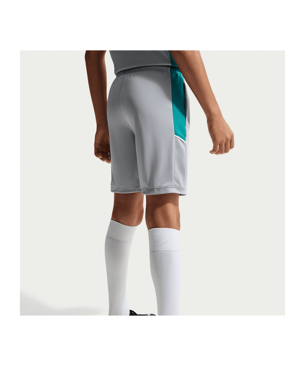 Nike Academy Pantaloncini Bambini Grigio C016 - grigio