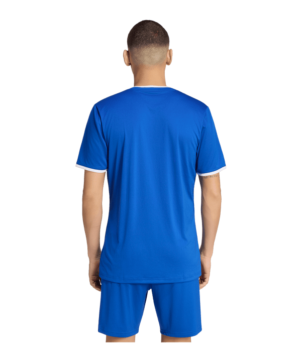 adidas Entrada 26 Trikot Blau - blau