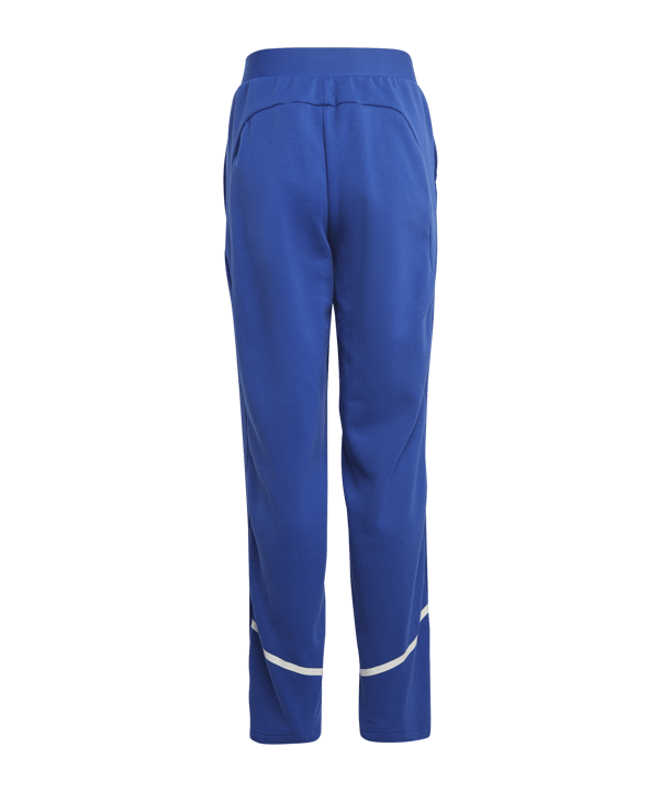 adidas D4GMDY Trainingshose Kids Blau Weiss - blau